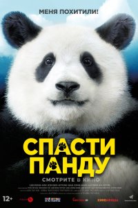  Спасти панду  постер
